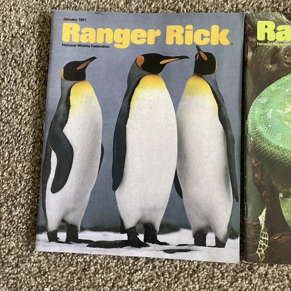 Ranger Rick's Nature Magazine 1991 National Wildlife Kids Vtg Lot Of 12 Complete